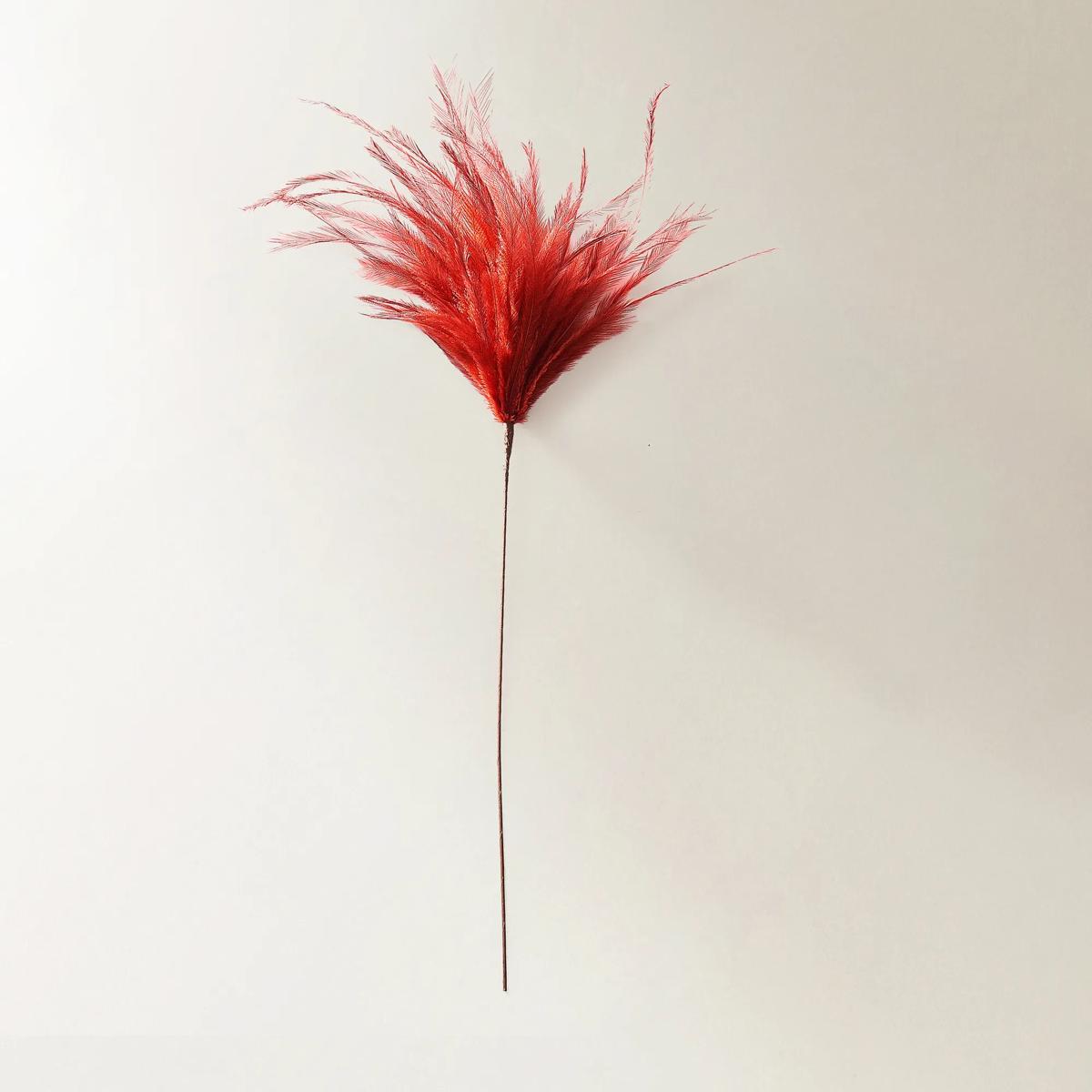 Red Feather Pick 23.5" - Set of 3
