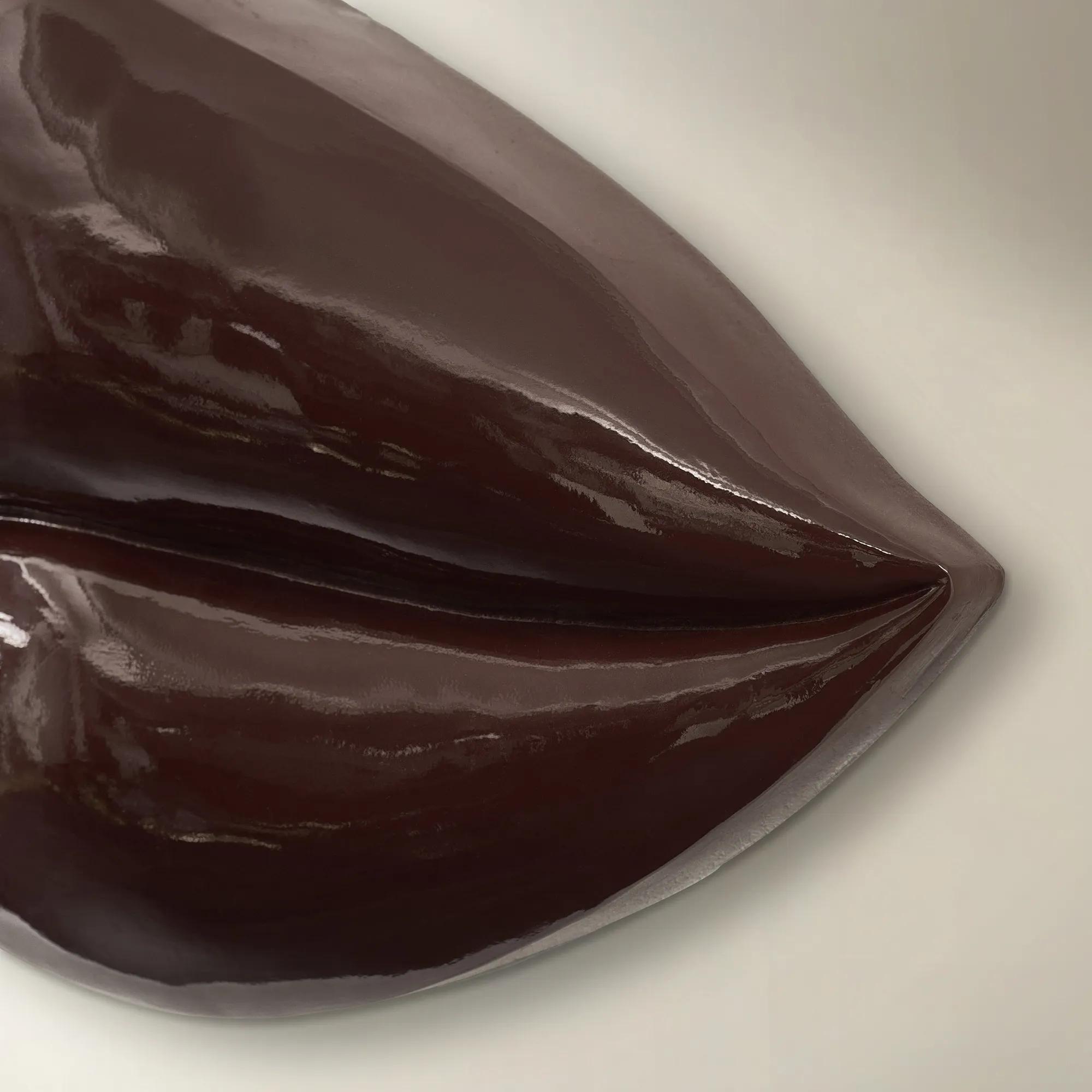 Grand Lips Fig Poly Resin High Gloss Wall Decor 27.5"x12.5"