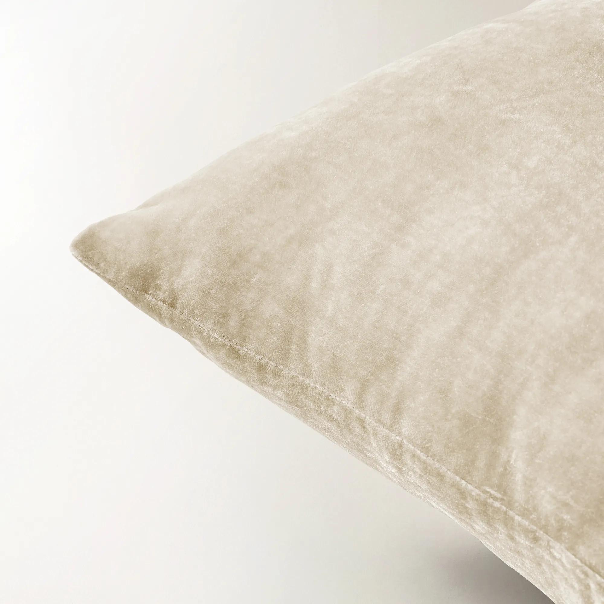 Delia Silky Velvet Pillow 20" - Turtle Dove