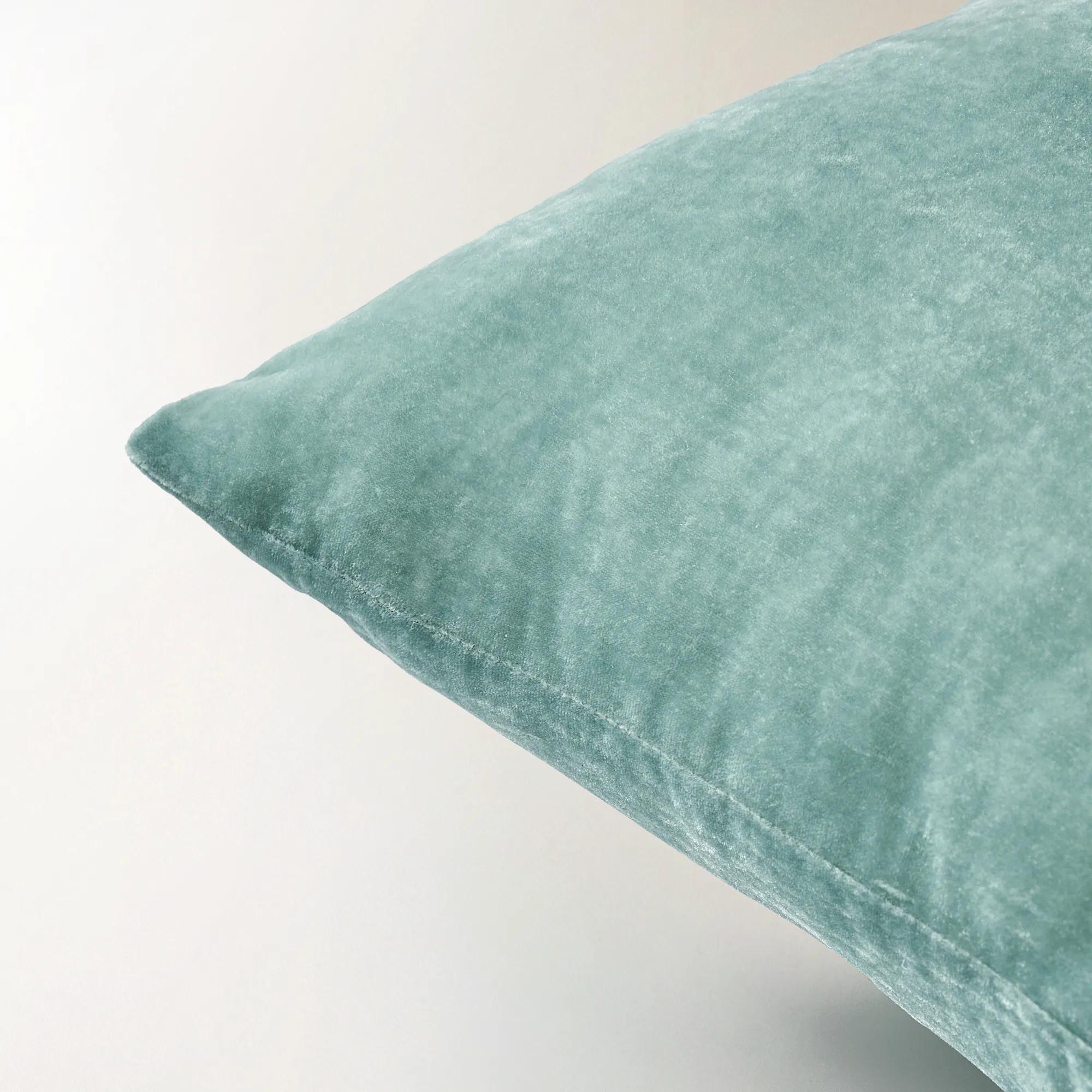 Delia Silky Velvet Pillow 20" - Eggshell Blue