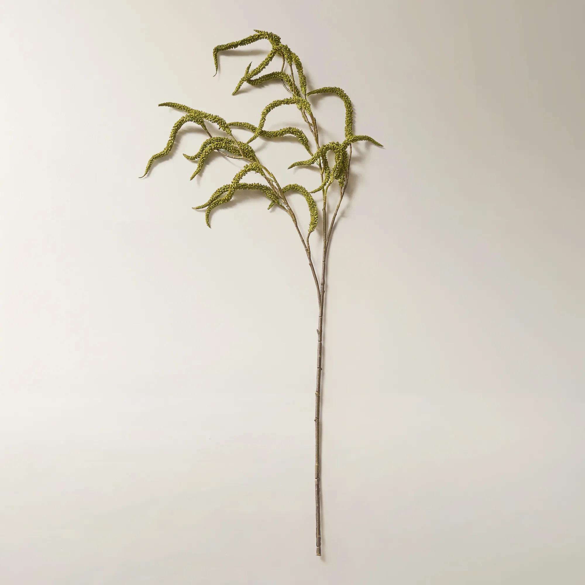 Citron Green Amaranthus Stem 30" - Set of 3