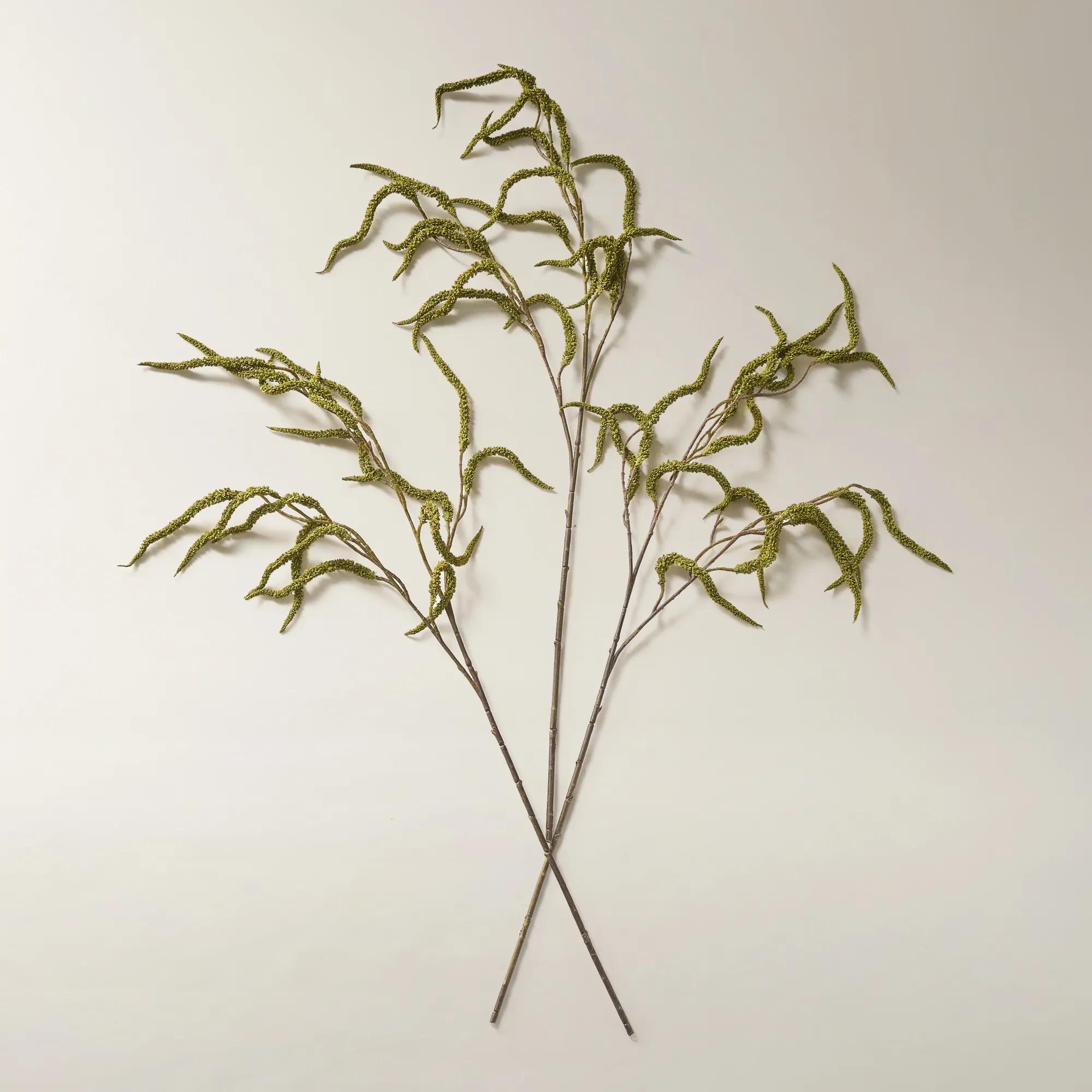 Citron Green Amaranthus Stem 30" - Set of 3