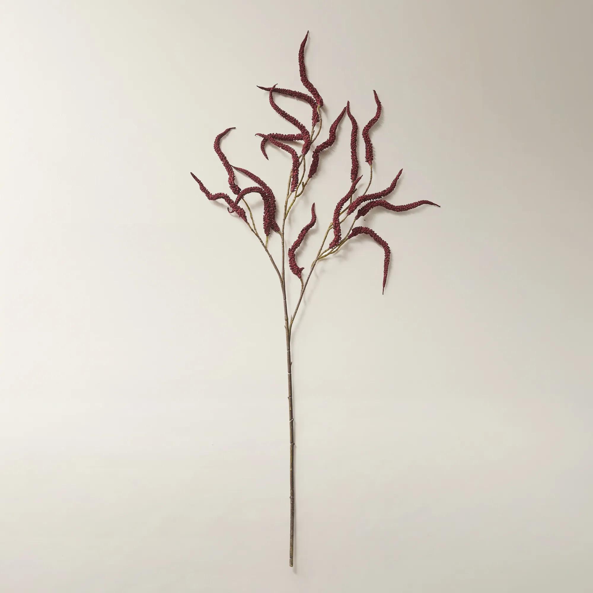 Burgundy Amaranthus Stem 30" - Set of 3