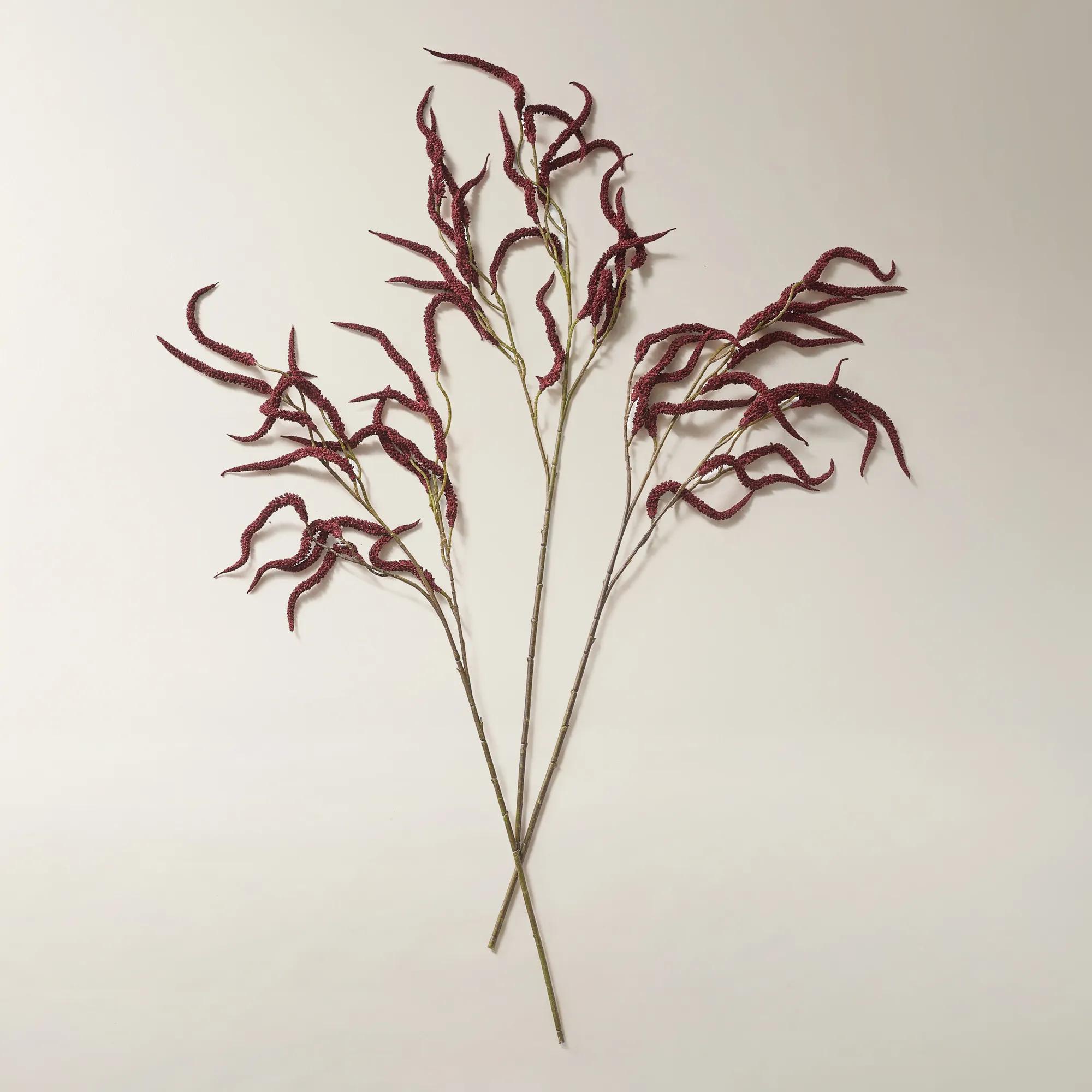 Burgundy Amaranthus Stem 30" - Set of 3