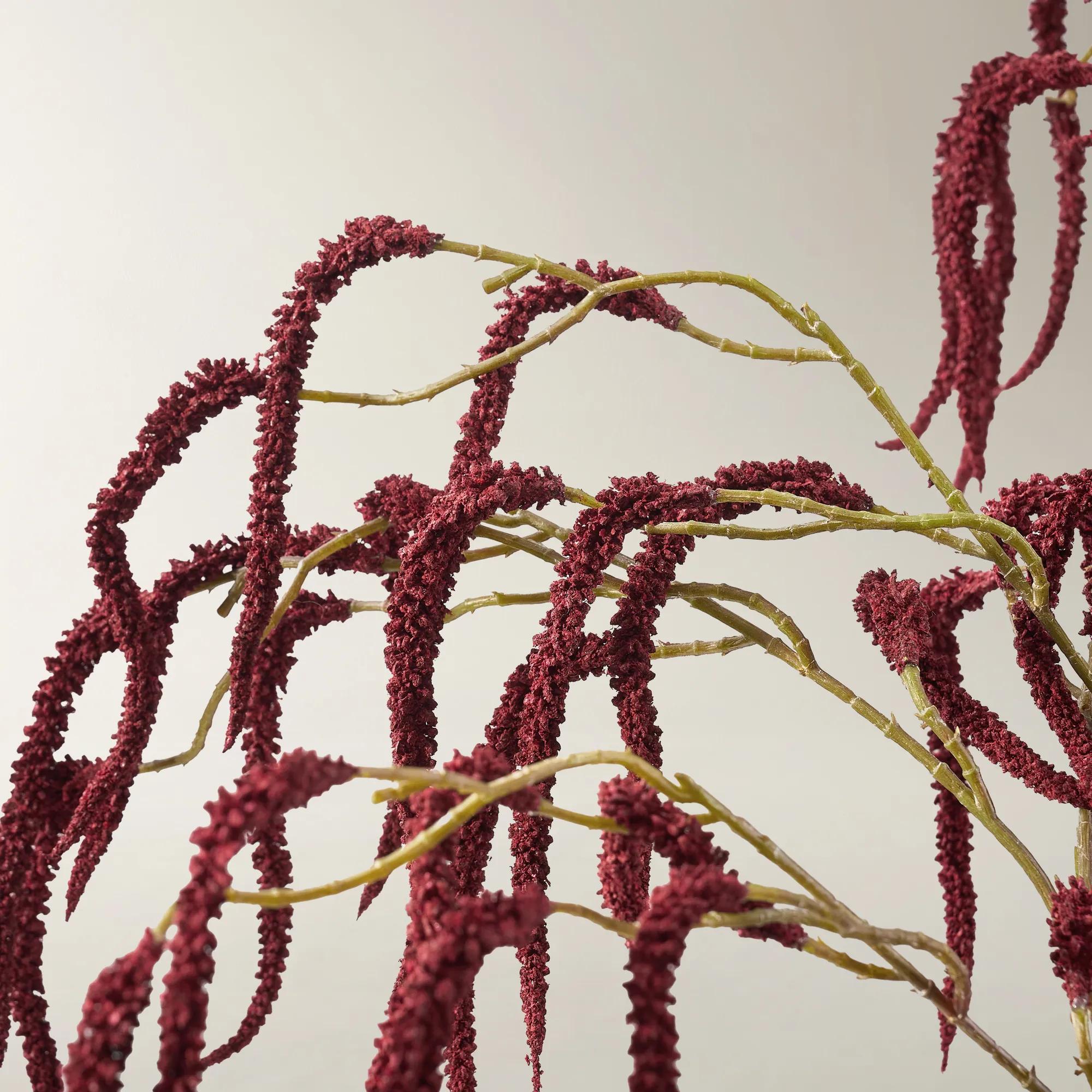 Burgundy Amaranthus Stem 30" - Set of 3