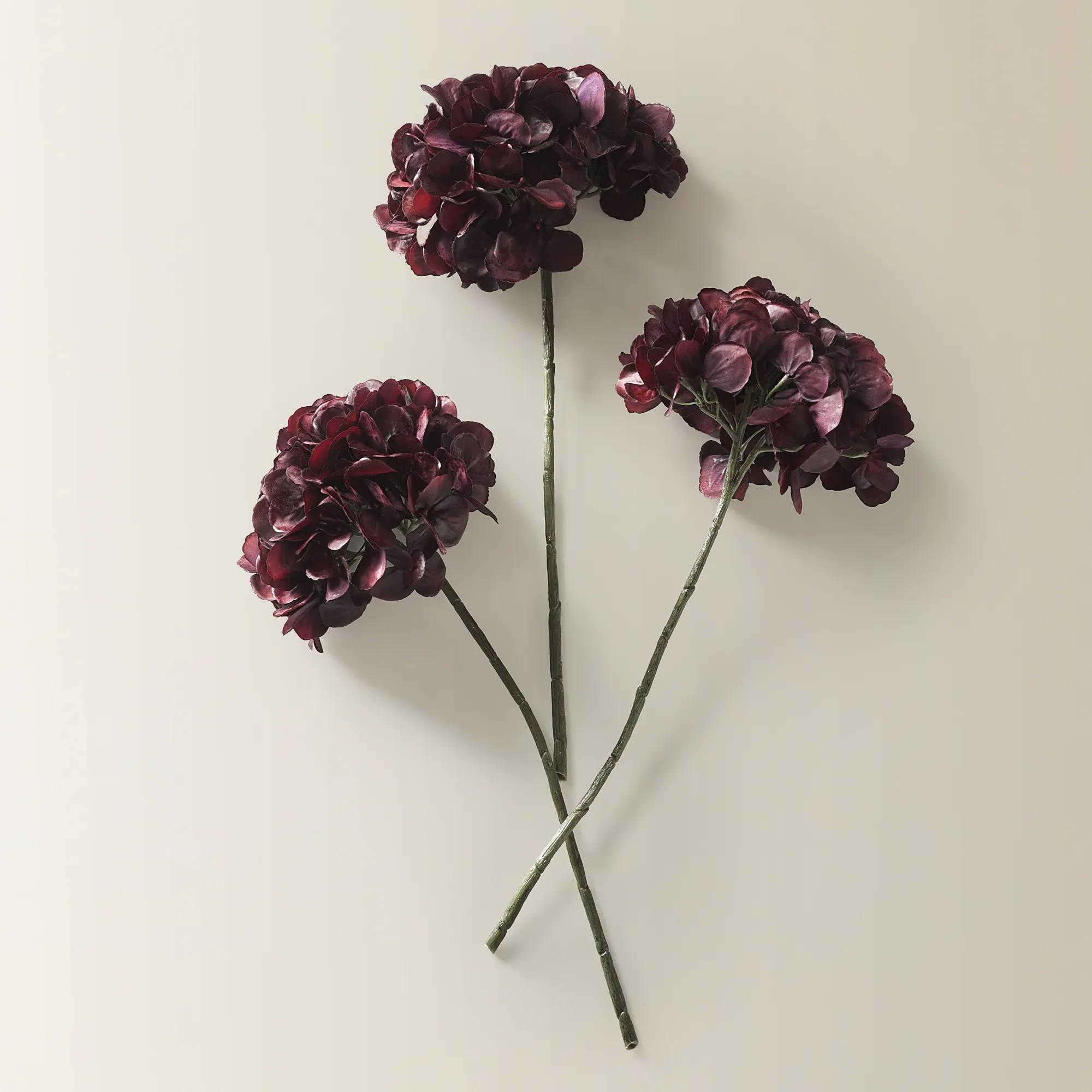 Fig Hydrangea Stem 18.5"- Set of 3