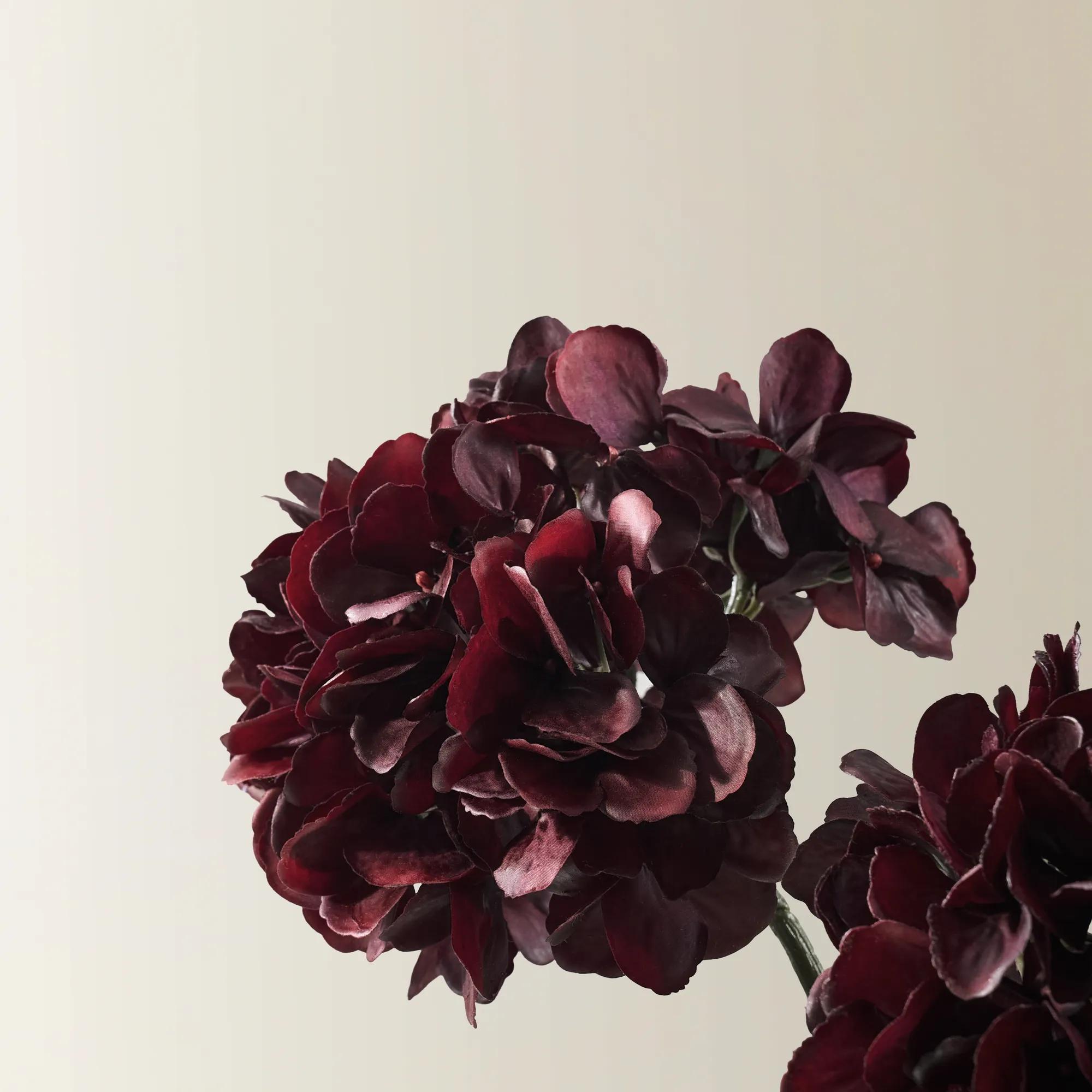 Fig Hydrangea Stem 18.5"- Set of 3