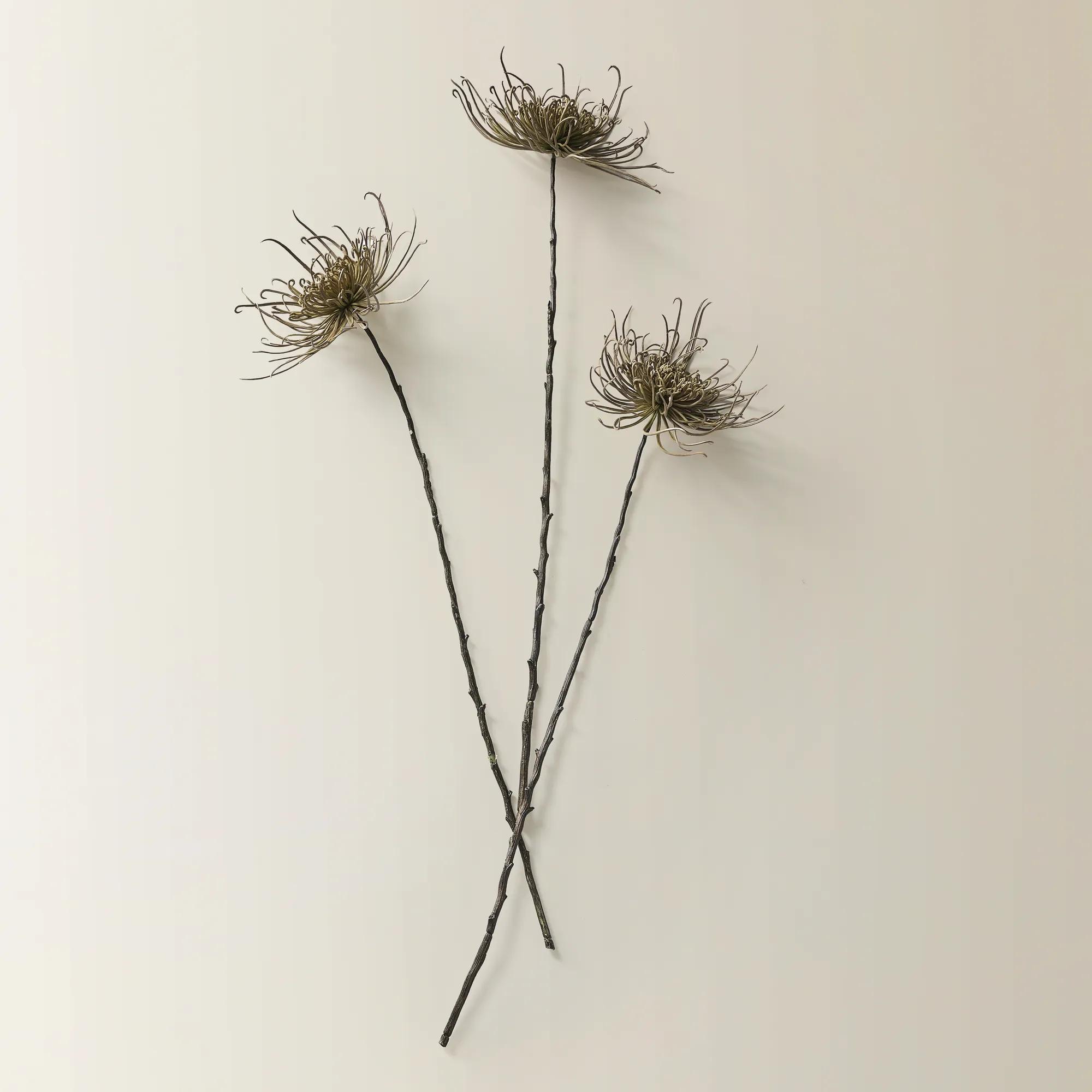 Green Mum Stem 28" - Set of 3