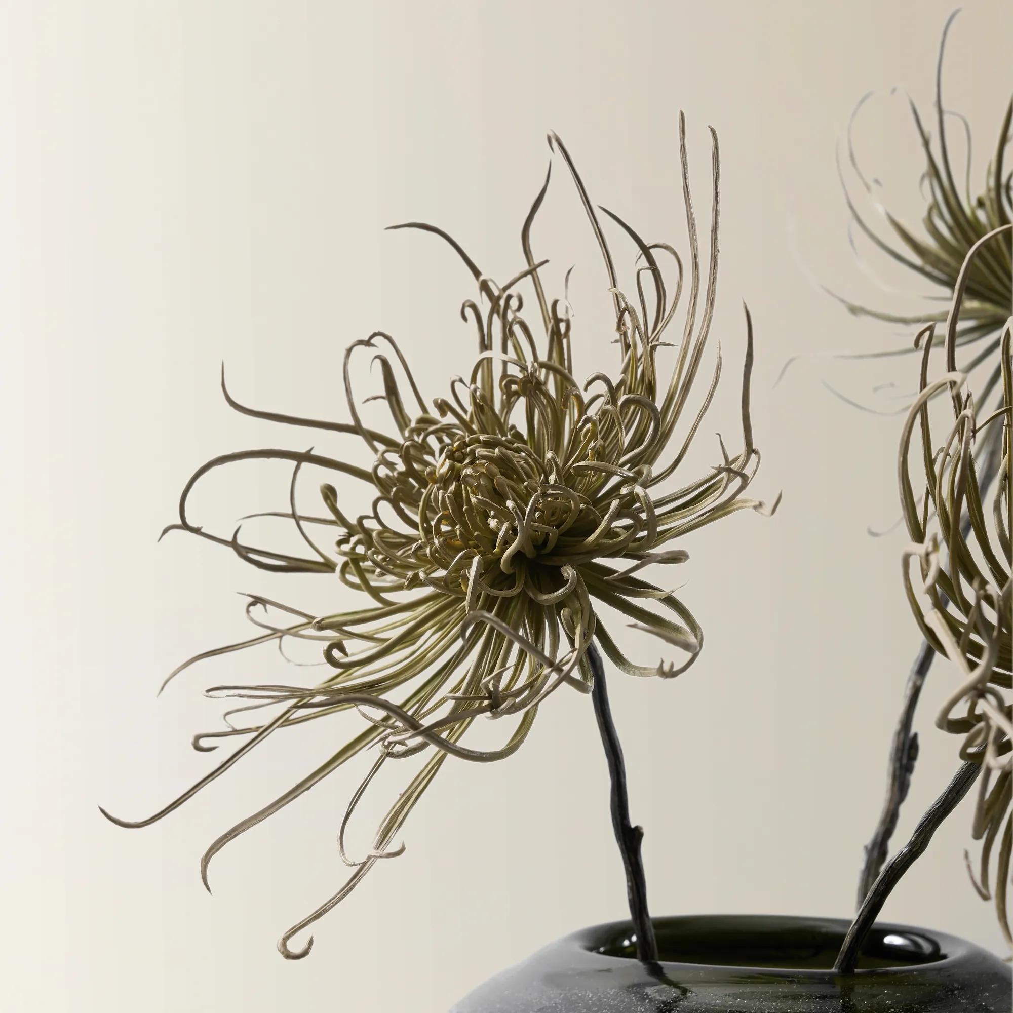 Green Mum Stem 28" - Set of 3