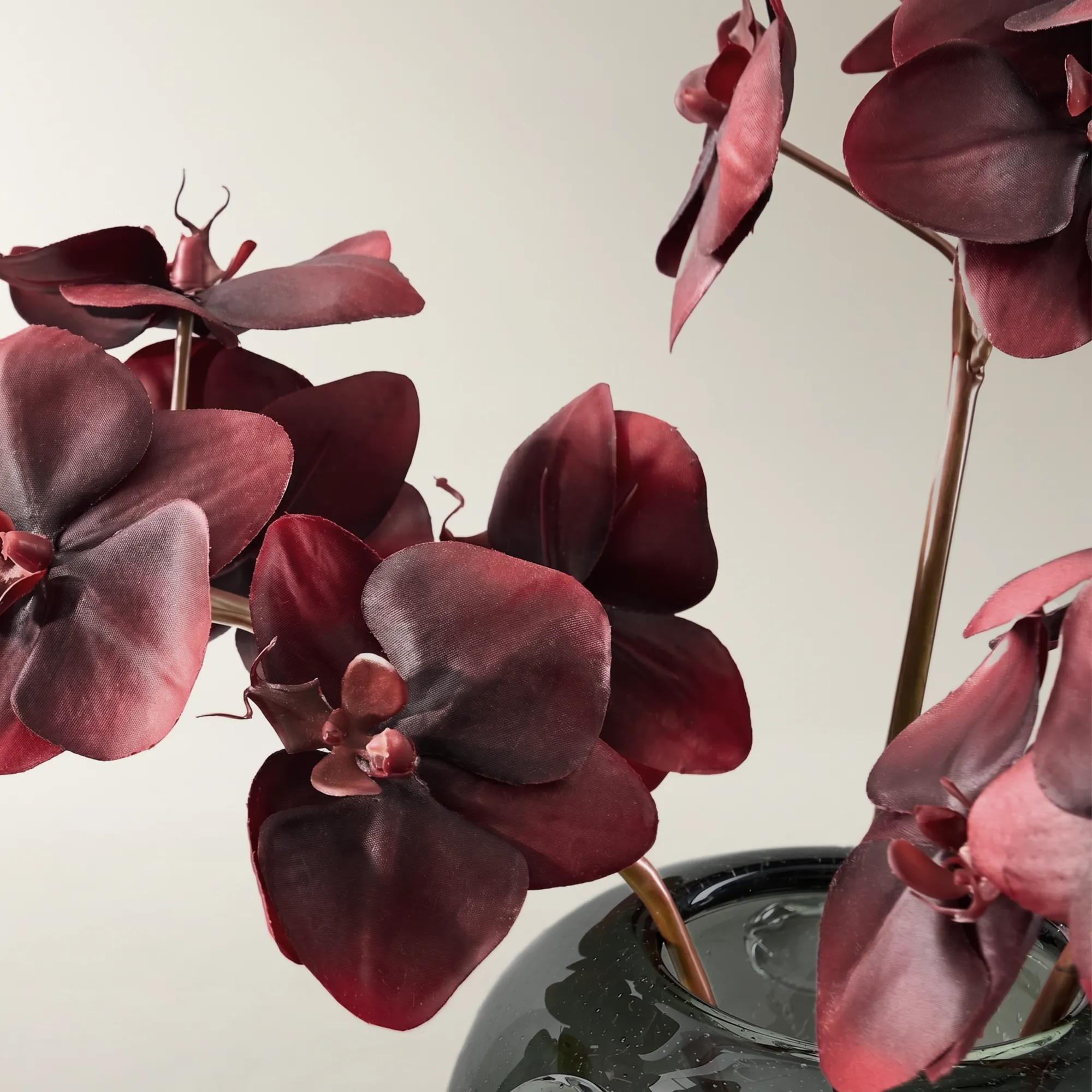 Burgundy Phalaenopsis Stem 37" - Set of 3
