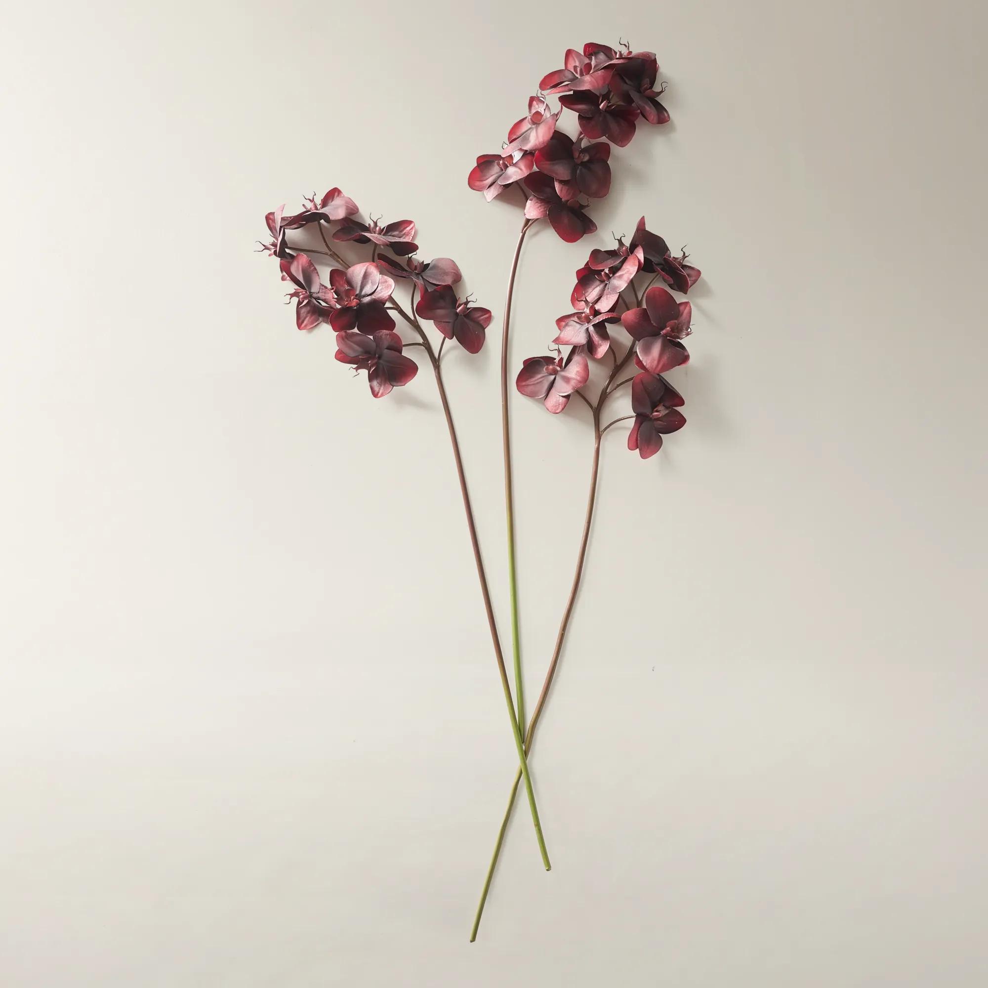 Burgundy Phalaenopsis Stem 37" - Set of 3