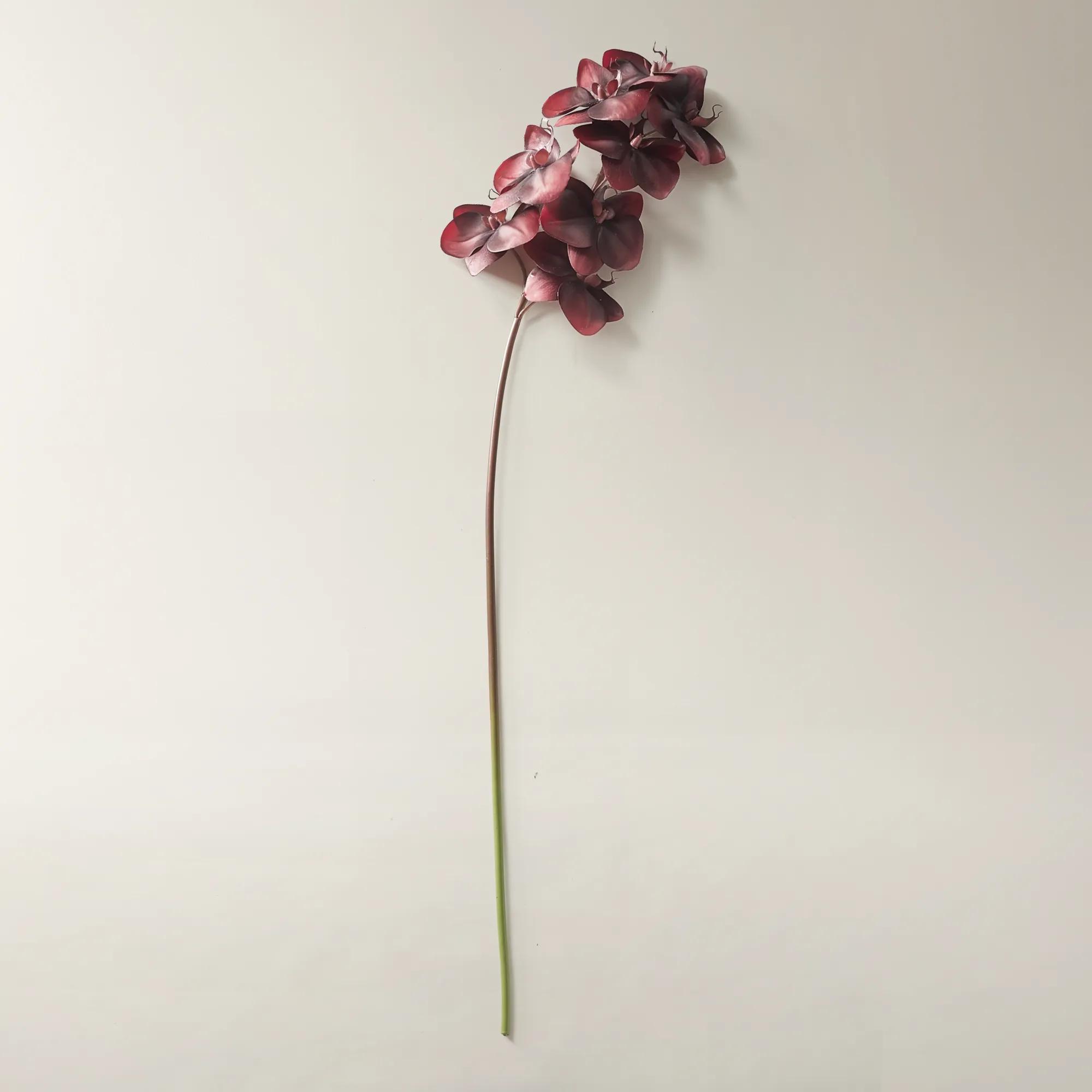 Burgundy Phalaenopsis Stem 37" - Set of 3