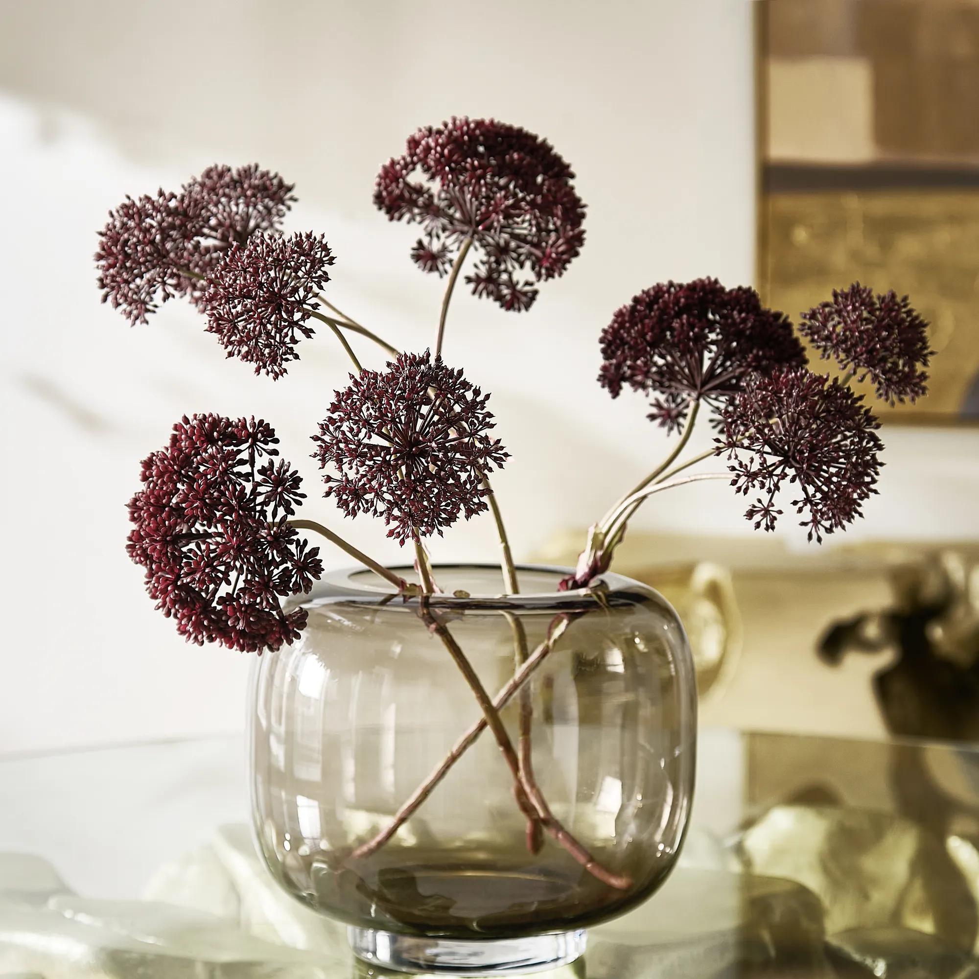 Fig Angelica Stem 28" - Set of 3