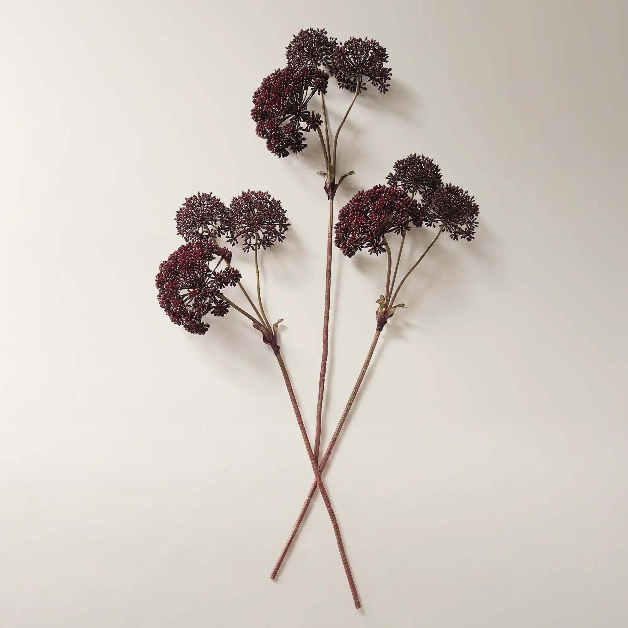 Fig Angelica Stem 28" - Set of 3