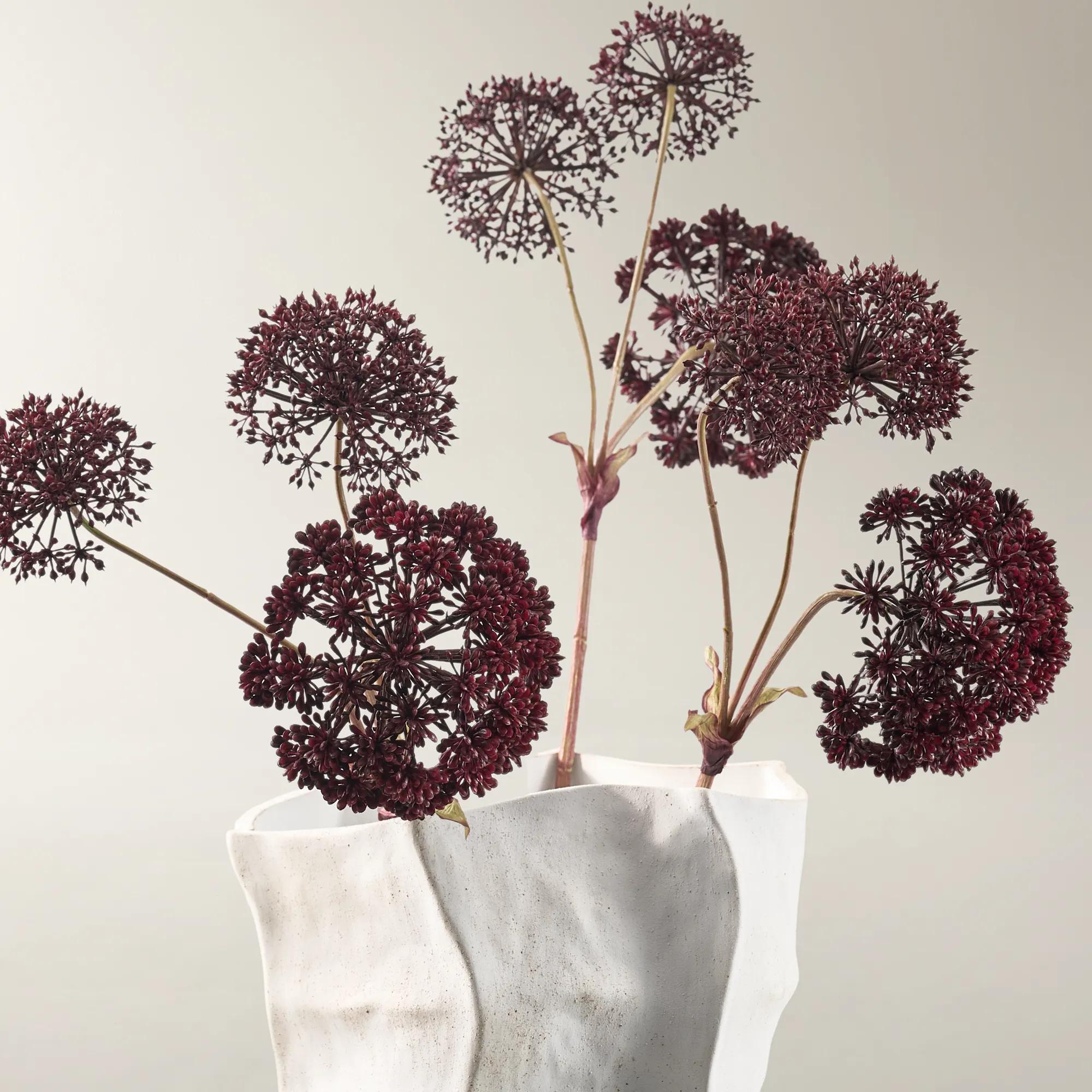 Fig Angelica Stem 28" - Set of 3