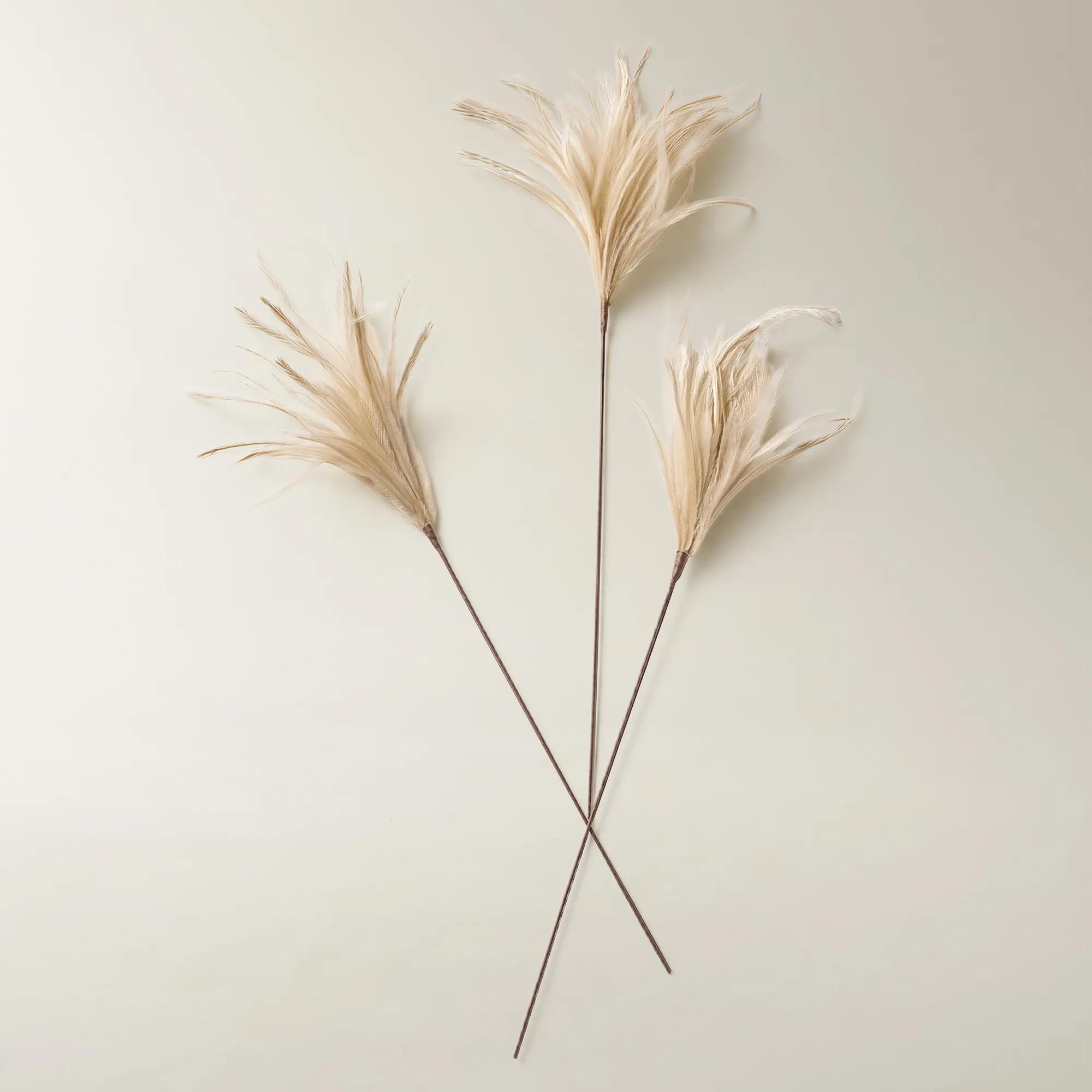 Soft Nude Feather Pick 23.5" - Set of 3