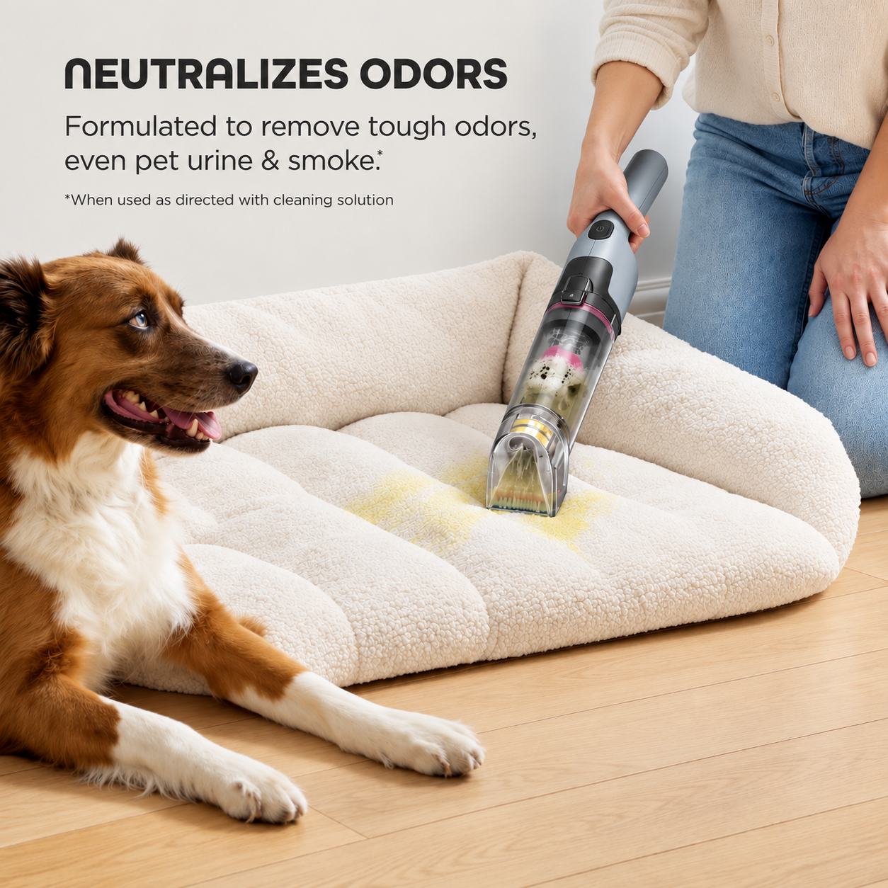 Cordless Portable Stain Cleaner HX104