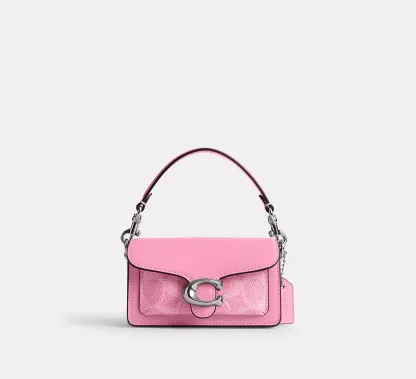 Tabby Bag  In Signature Canvas