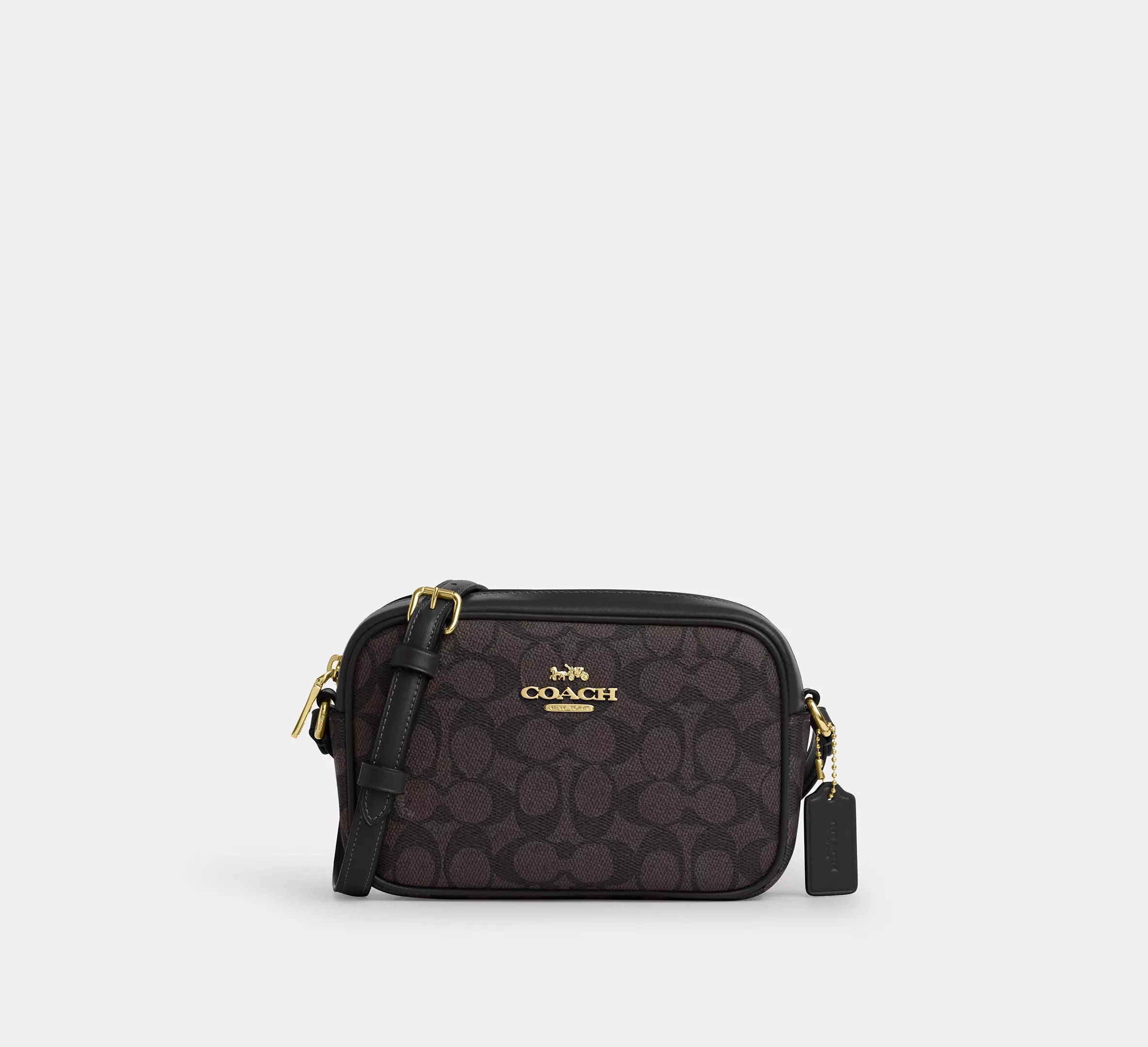 Mini Camera Bag In Signature Canvas