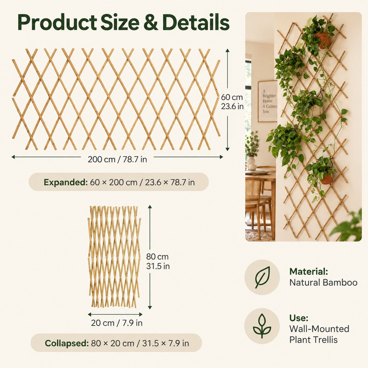 Expandable bamboo wall mounted plant trellis product size and dimensions