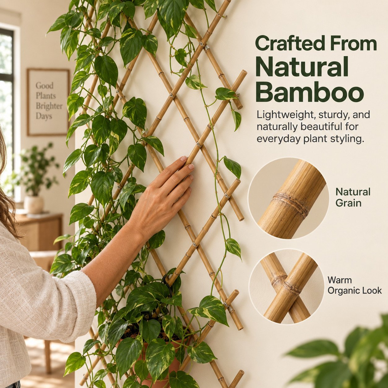 Natural bamboo grain and construction of expandable plant trellis
