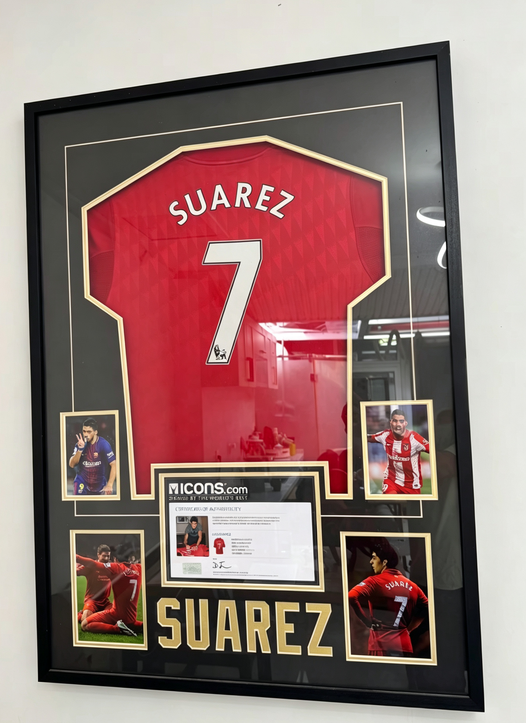 Jersey Collection