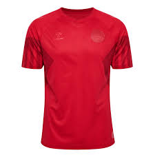 Denmark Home Jersey 2022/23 Men's