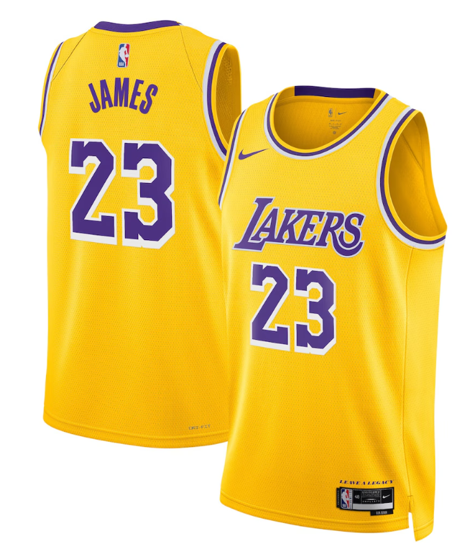 Camiseta Nike Icon Swingman de Los Angeles Lakers - James 23 Men Women Youth