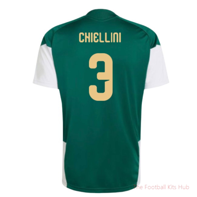 2026/27 Italy Training Jersey (Green) (Chiellini 3)