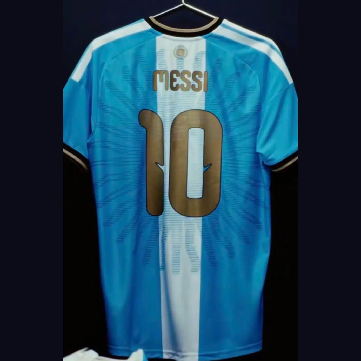 2026 Argentina Messi farewell special edition shirt, back view with MESSI 10