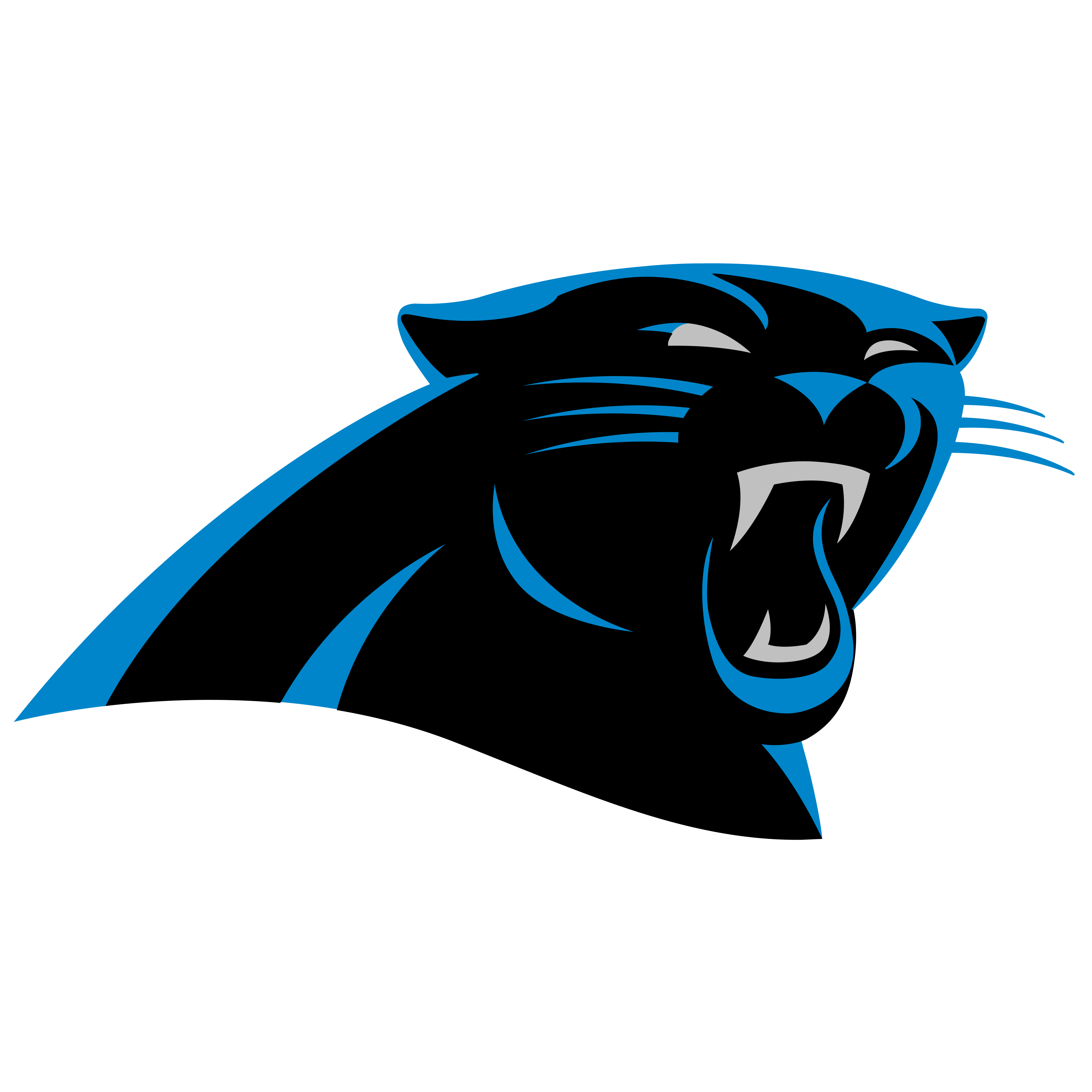 Panthers