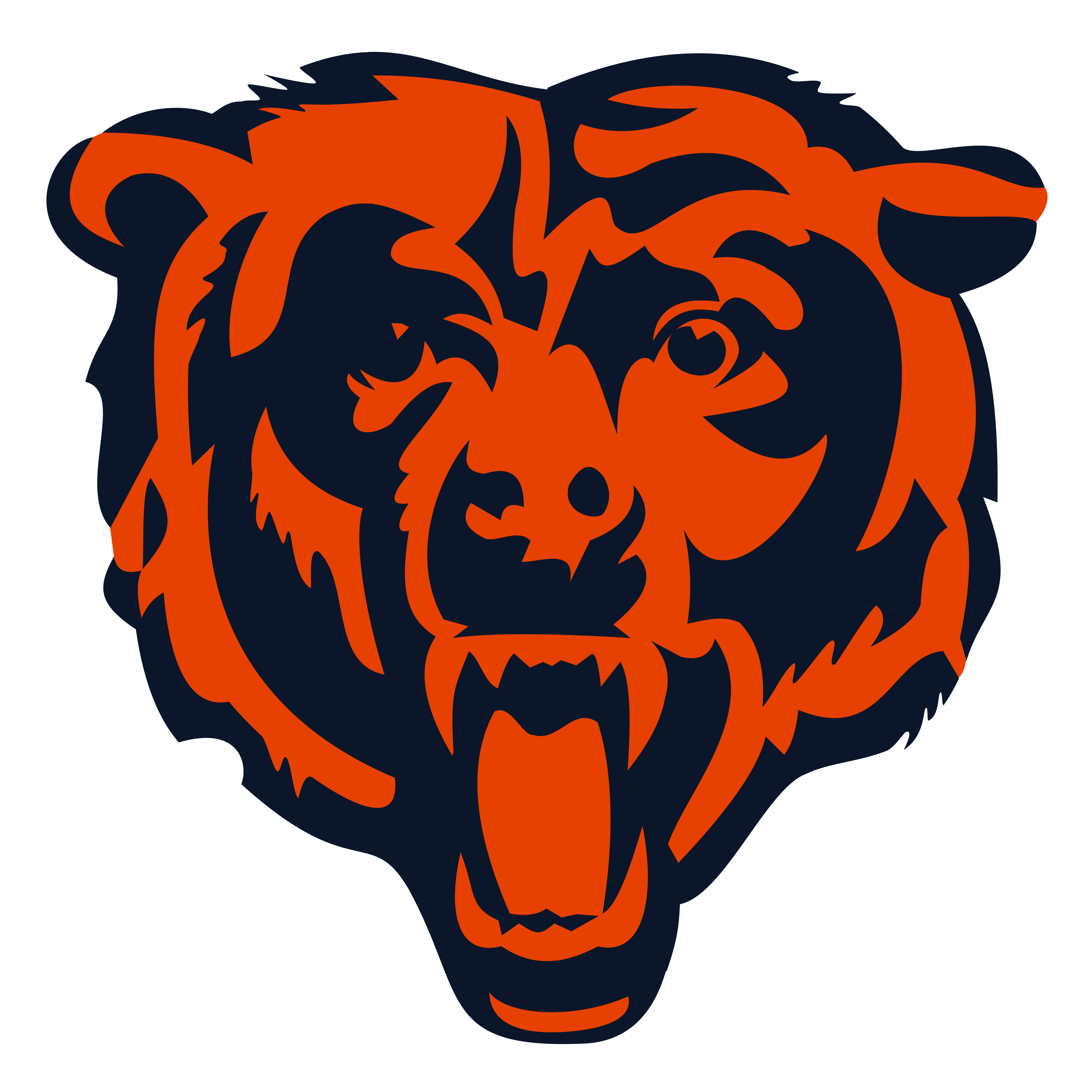 Bears