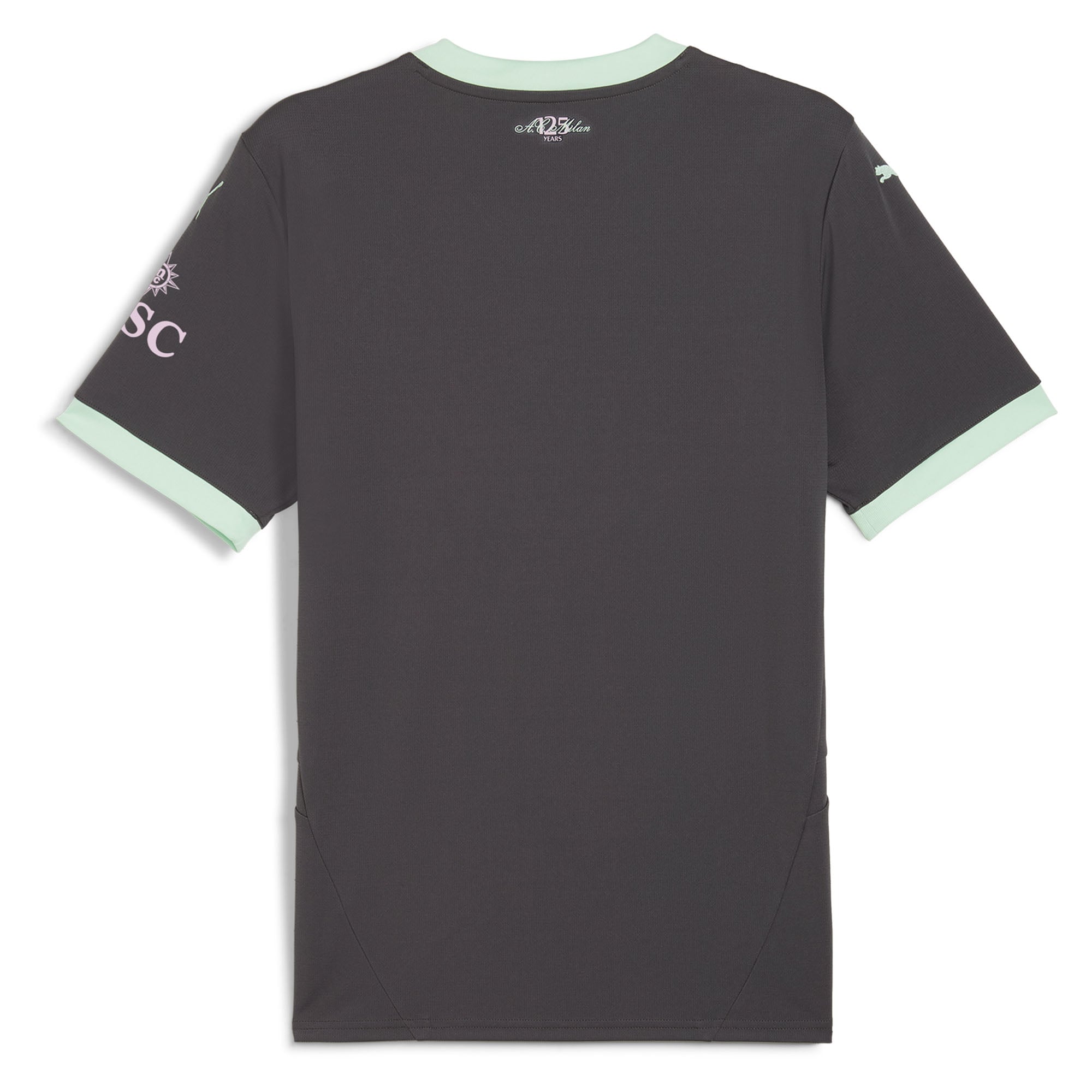 AC Milan 2024/25 Third Replica Jersey Charcoal