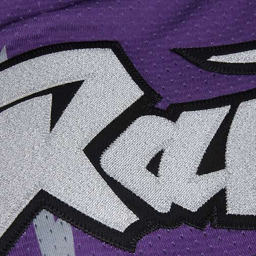 Mitchell & Ness Vince Carter Toronto Raptors 1998/99 Throwback Style Jersey Purple