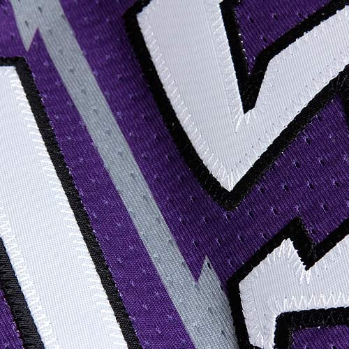Mitchell & Ness Vince Carter Toronto Raptors 1998/99 Throwback Style Jersey Purple