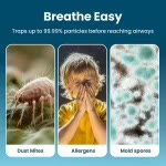 Household Anti-Mold Box: Powerful Mold Odor Remover, Moisture Absorber, and Mold Preventer - image 2