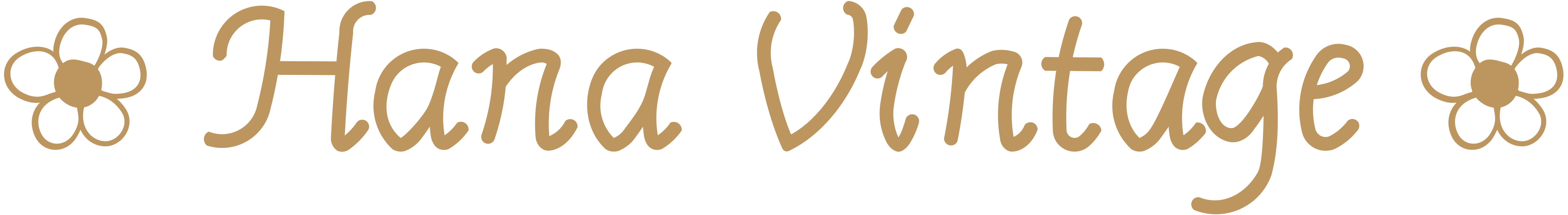 Hana Wholesale
