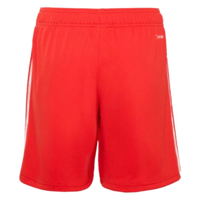 2026/27 Benfica Shorts (red) Away Jersey-League Fan Gear