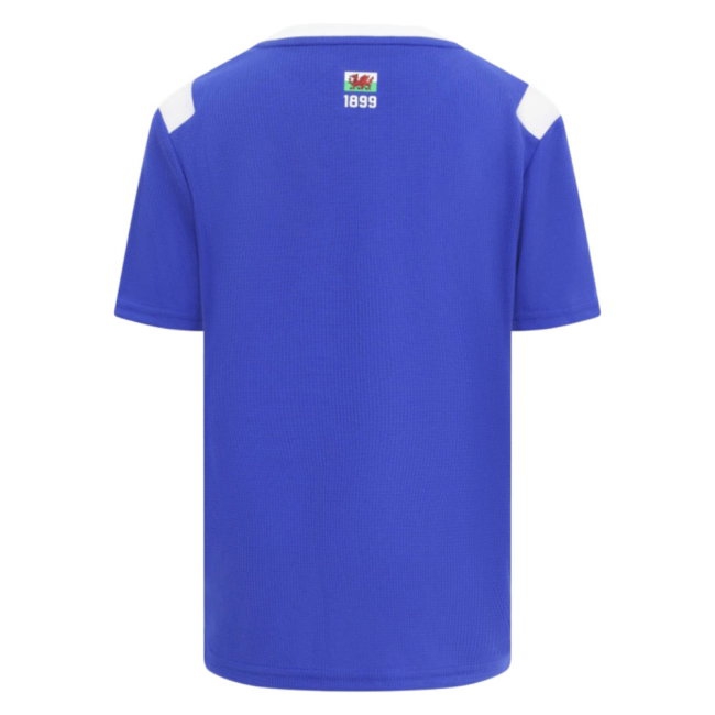 2026/27 Cardiff City Home Shirt-League Fan Gear