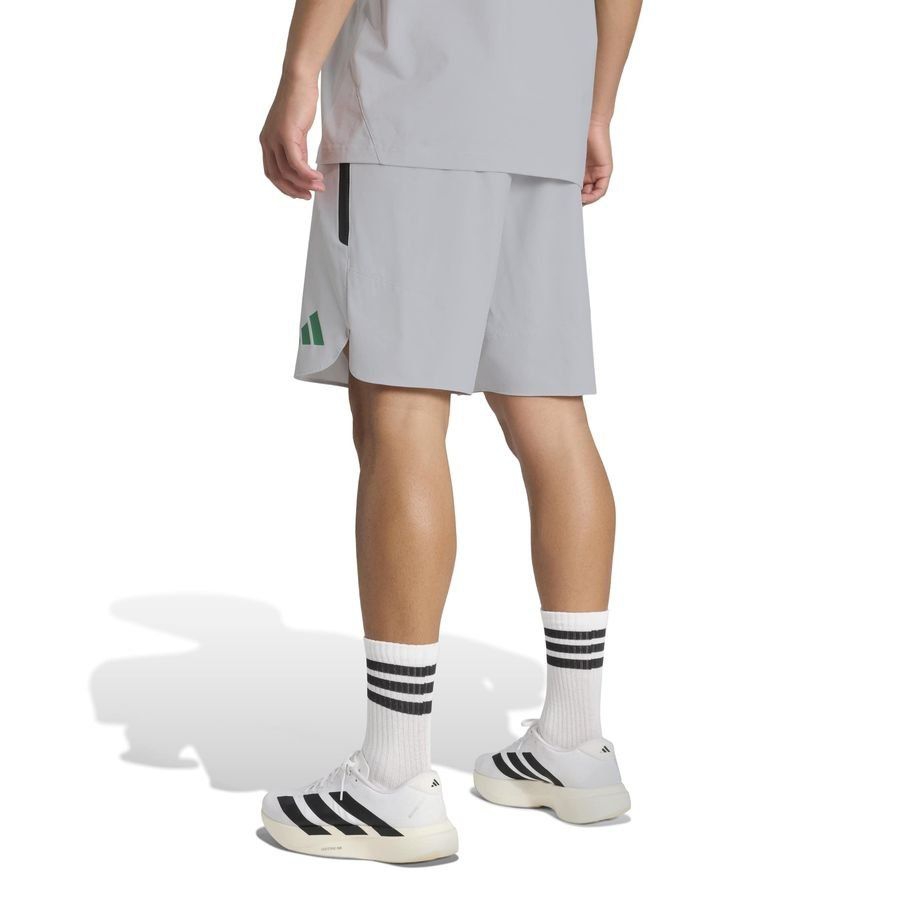 Algeria Training Shorts Tiro Tech - Light Grey-League Fan Gear