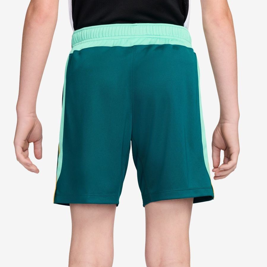Brazil Training Shorts Dri-FIT Academy Pro World Cup 2026 - Geode Teal/Light Menta/Midwest Gold Kids-League Fan Gear