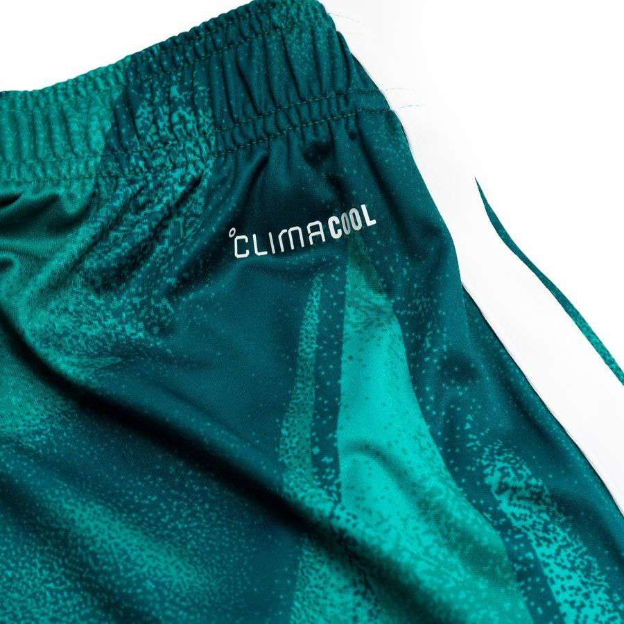 Germany Goalkeeper Shorts World Cup 2026-League Fan Gear