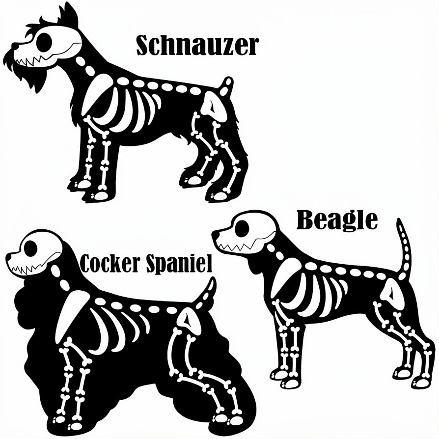 🎃🐾 Custom Embroidered Skeleton Dog & Cat Breed Halloween Sweatshirt – Personalized Pet Lover Spooky Gift