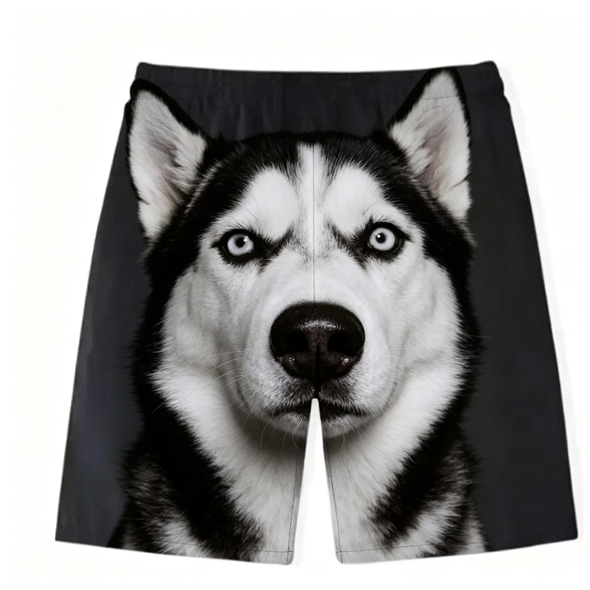 Custom Pet Photo Shorts