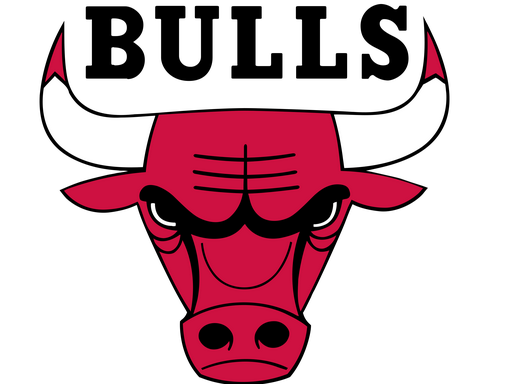Chicago Bulls