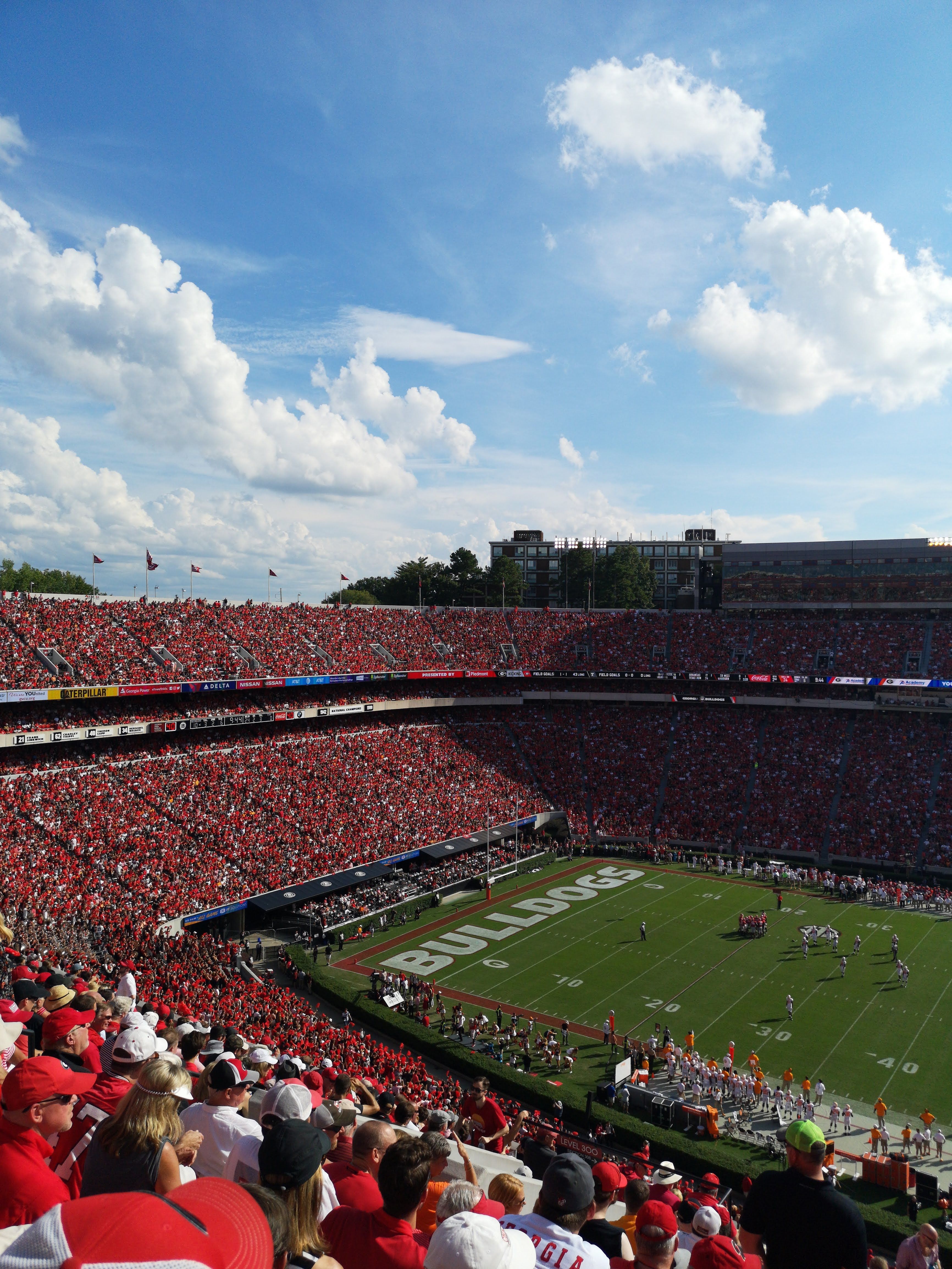 Crowd of passionate football fans at a stadium game