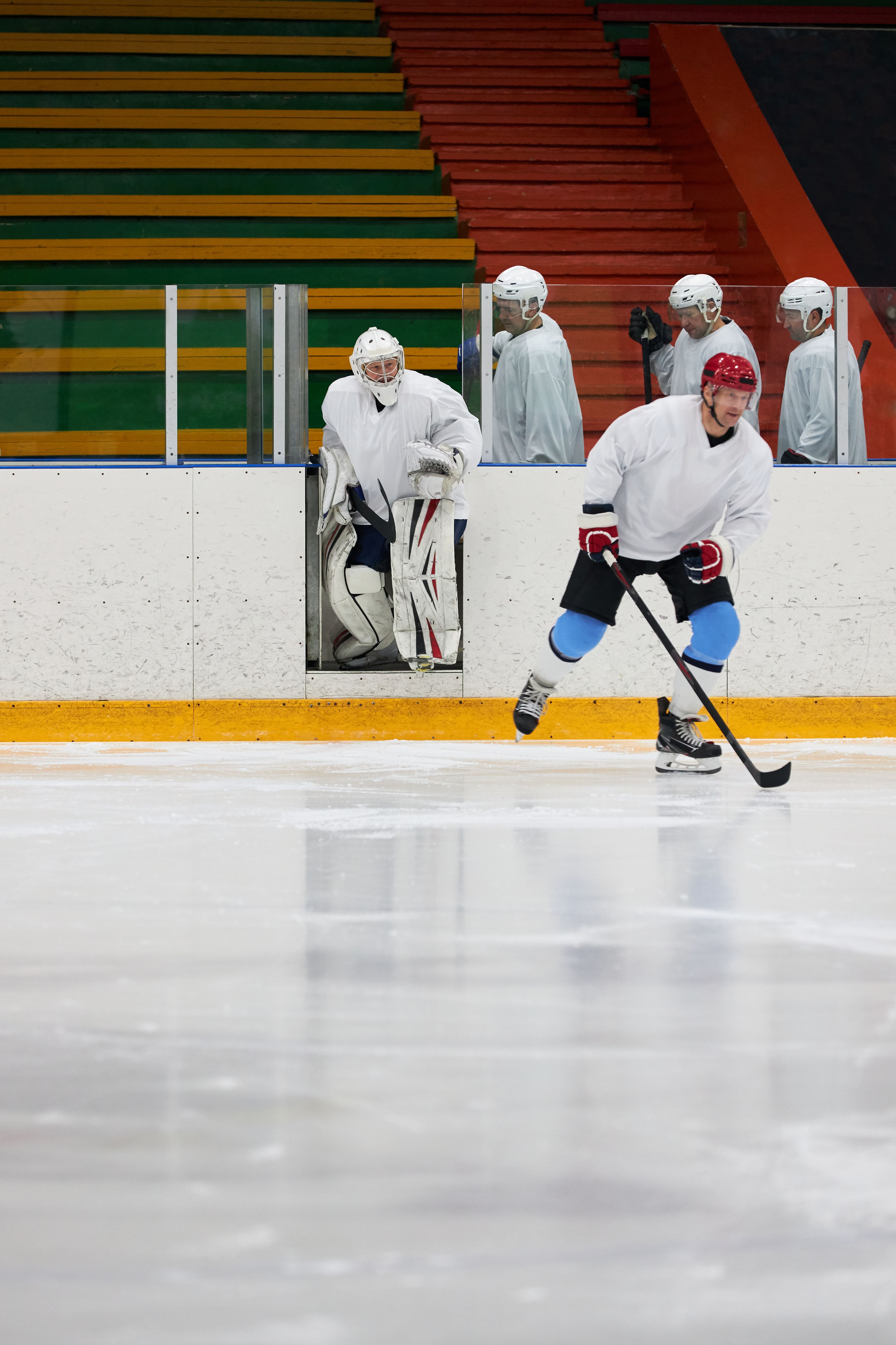 Hockey players geared up and ready on the bench before a game in the new NHL season