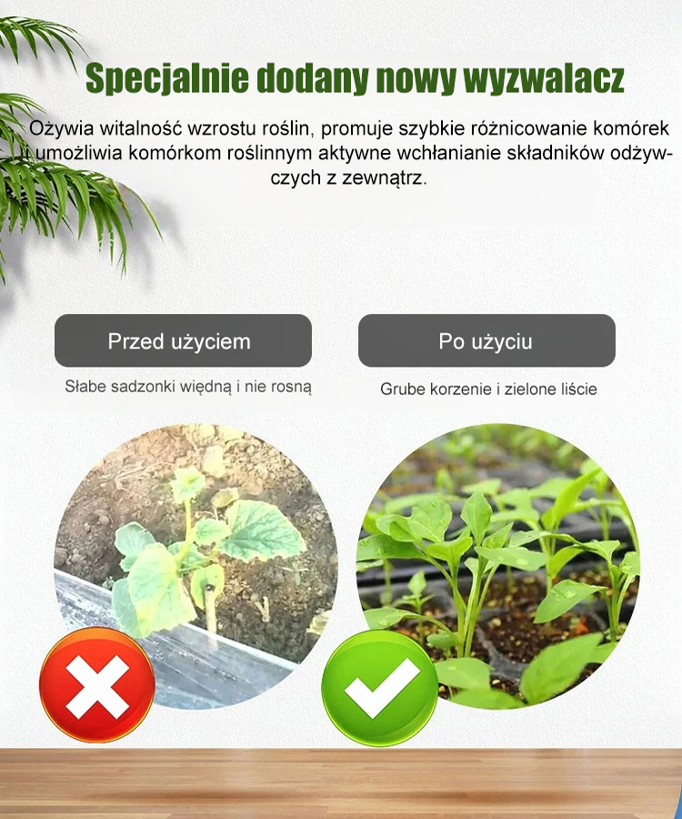 [HIT] Skoncentrowana Woda Bajkowa do Roślin 50ml | Reanimacja, Ukorzenianie i SPA (-50%)