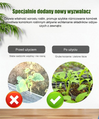 [HIT] Skoncentrowana Woda Bajkowa do Roślin 50ml | Reanimacja, Ukorzenianie i SPA (-50%)