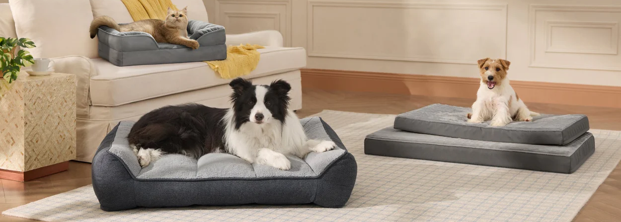 Pet bed
